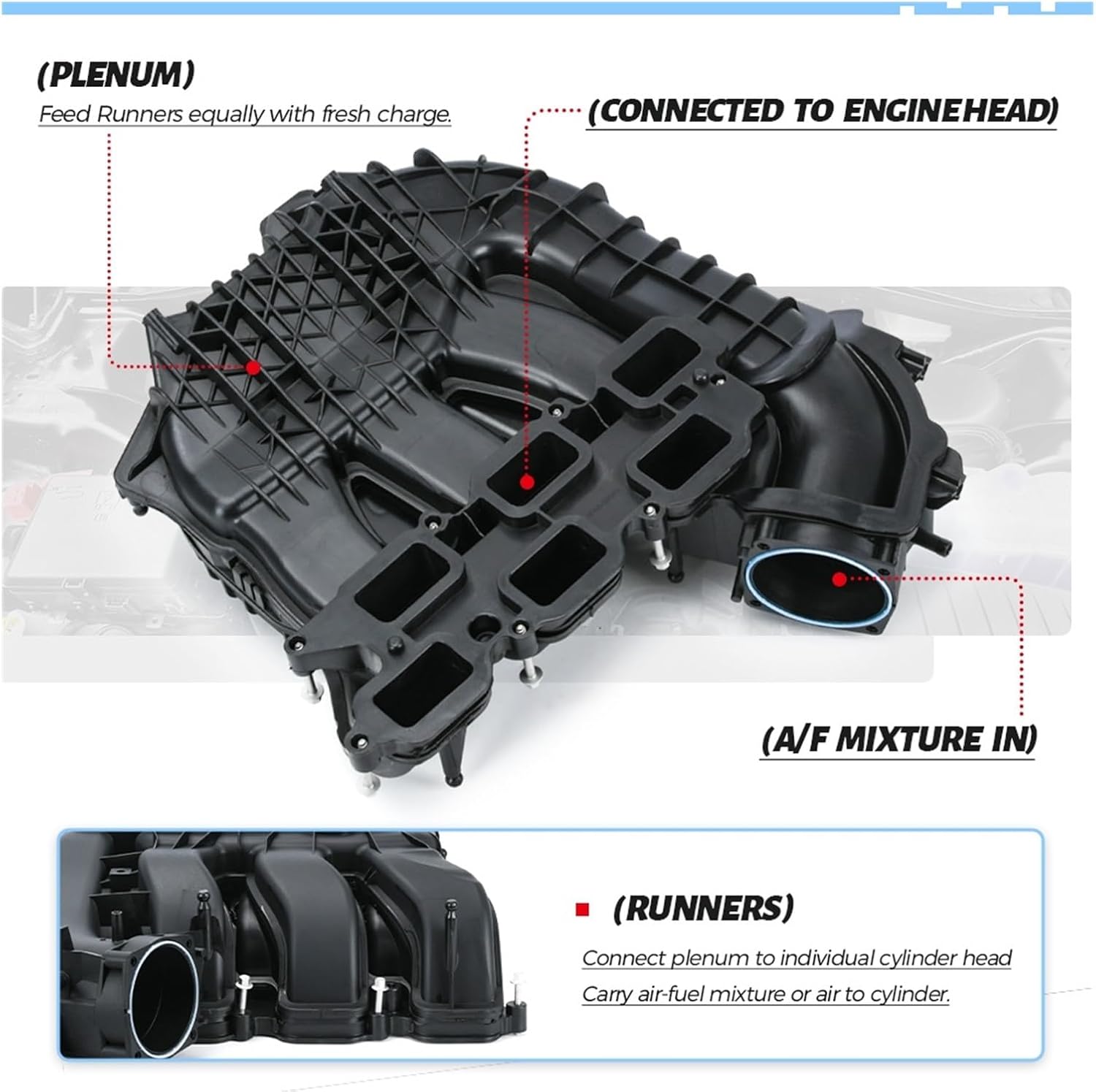 【中澤研一郎】作　ガラス工芸　熱帯魚　置物／ガラスケース付 中澤研一郎】作 ガラス工芸 熱帯魚 置物／ガラスケース付
